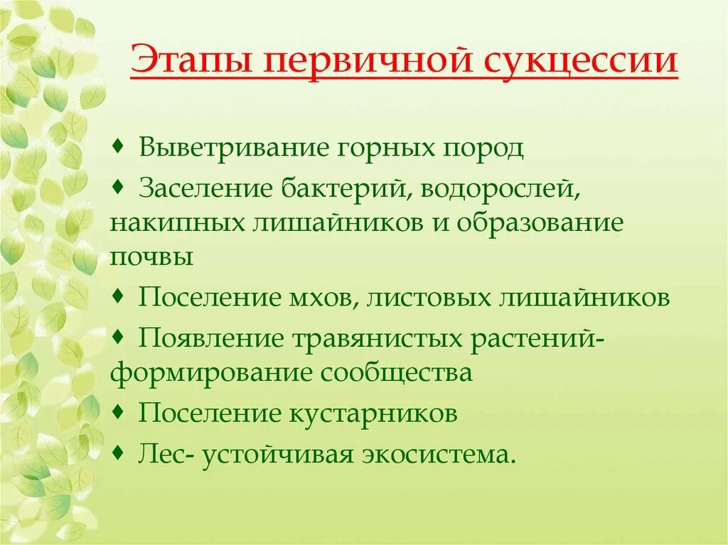 Этапы первичной сукцессии. Субсцессия этапы первичкной. Причины первичной сукцессии. Стадии развития первичной сукцессии. Последовательность этапов сукцессии