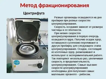 Центрифугирование какой метод
