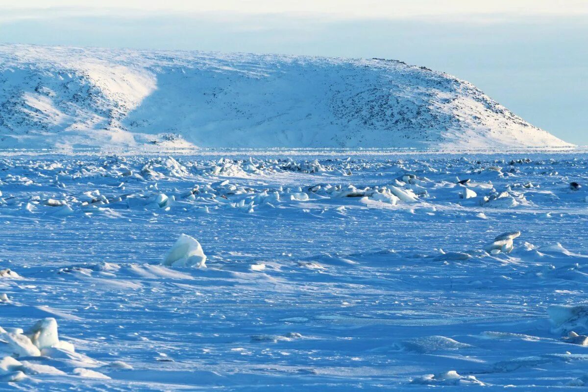 Какой бассейн берингова моря. Берингово море. Чукотское море Северный Ледовитый океан. Северный Ледовитый океан Берингово море. Чукотка берег Ледовитого океана.