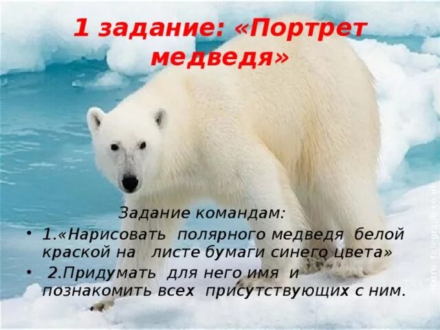 Задание к тексту белый медведь. Стих про белого медведя для детей. белый медведь задания. белый медведь строение тела.