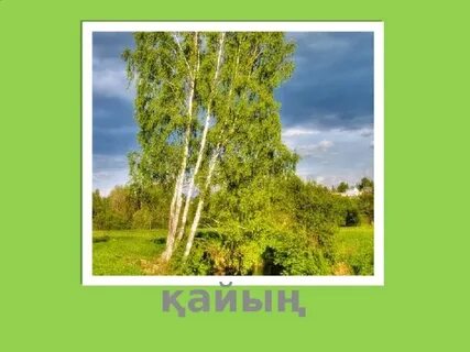 Жоғалған телефондардағы суреттер