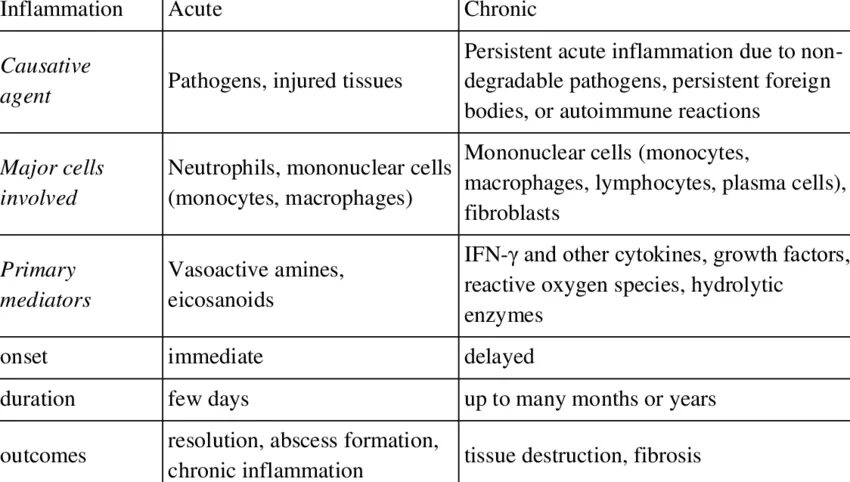 Acute перевод. Chronic inflammation. Acute inflammation. Acute and chronic. Inflammation перевод.