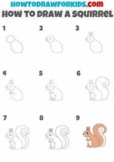 Белка нарисовать карандашом детям поэтапно