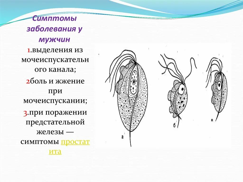 Агалактия у мужчин. Агалактия у мужчин. Агалактия у мужчин. Агалактия у мужчин. Агалактия у мужчин.