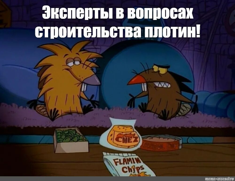 Мем бобры турбо. Крутые бобры. крутые бобры мем. грападура крутые бобры. крутые бобры мемы.