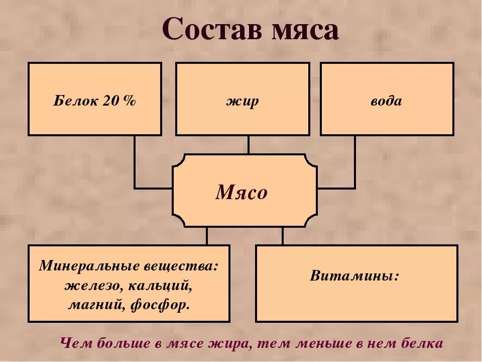 Состав белка мяса. Состав мяса. Химический состав мяса. Химический состав мяса схема. Ximicheskoy sostav myaso.