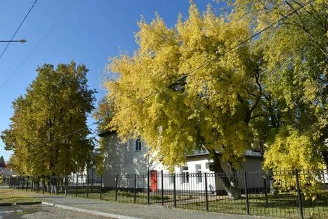 Погода на завтра ярково тюменская