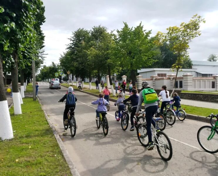 Погода в новосокольниках на 3 дня. Город Новосокольники Псковская область школа. Новосокольники парк. Город Новосокольники. День города Новосокольники.