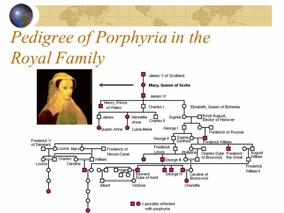 Родословная Виктории королевы Англии. Генеалогическое Древо Виктории королевы Англии. Гемофилия королевы
