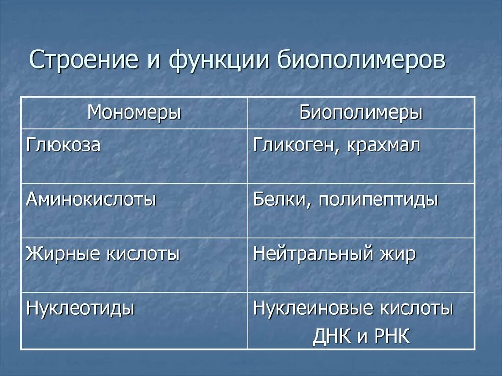 Структуры биополимера. Биополимеры строение и функции. Функции биополимеров. Строение биополимеров. Таблица классификация строение и функции биополимеров.