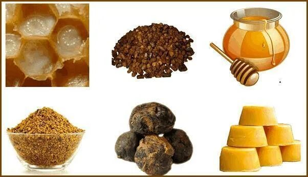 Пчелы продукты пчеловодства. Прополис перга воск. Пчелиный воск забрус. Пчелиный воск прополис. Пчелиный воск прополис.