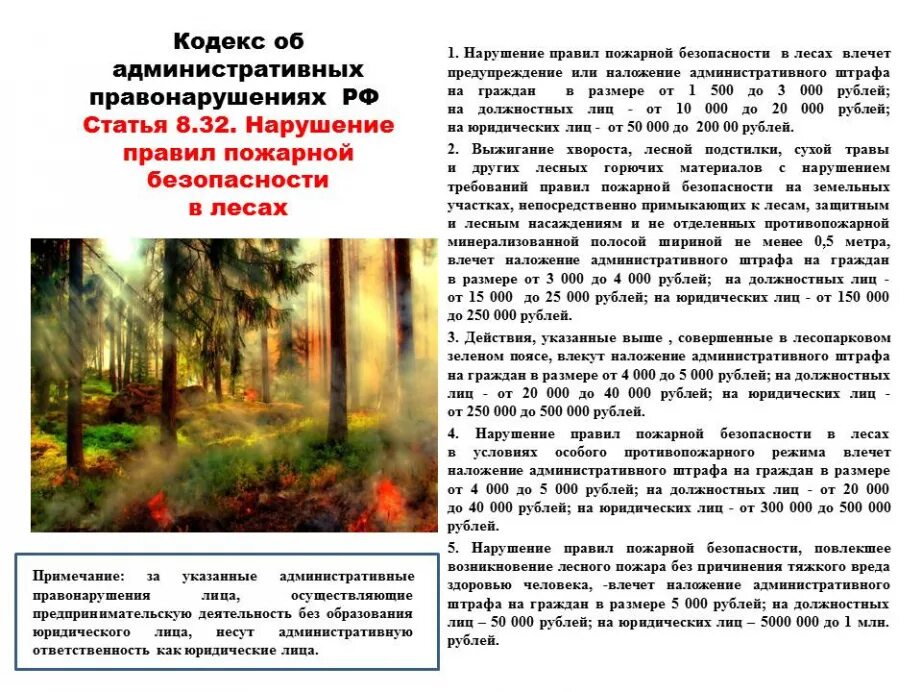 Нарушение правил пожарной безопасности какое правонарушение. Правила пожарной безопасности в лесу. Нарушение противопожарных правил в лесах. Ответственность за нарушение требований пожарной безопасности. Правила пожарной безопасности в лесах.