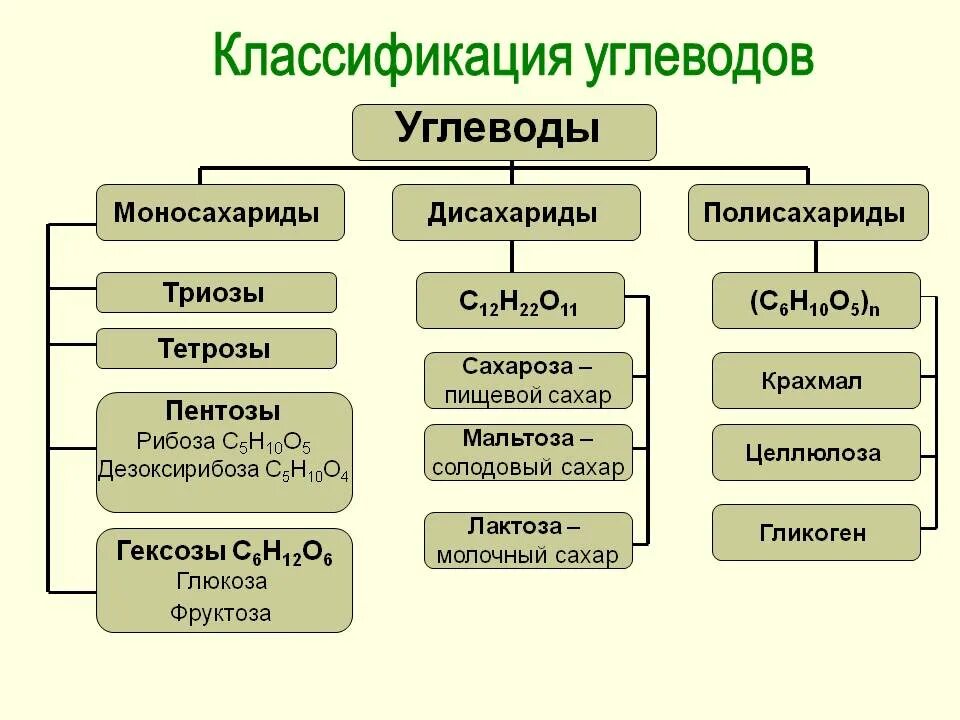 1 примеры углеводов. Классификация углеводов биология. Классификация углеводов схема. Общая классификация углеводов. Классификация углеводов моносахариды.