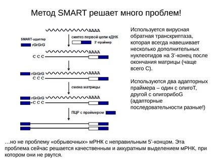 Транскриптаза