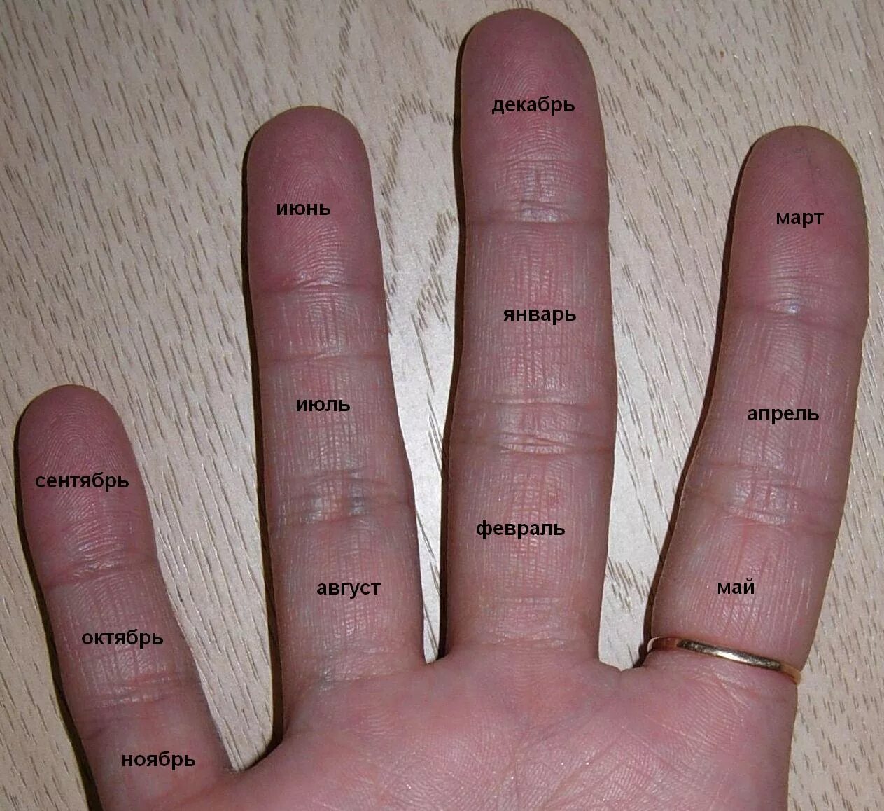 Пальцы на руке название на русском. Название пальцев на руке. Ладонь с названием пальцев. Пальцы рук название. Пальцы на руке название пальцев.