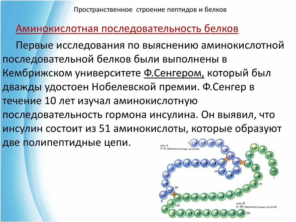 Изменение аминокислот последовательности белков. Пространственное строение пептидов и белков. Методы секвенирования белков. Пространственное строение пептидов. Строение пептидов.