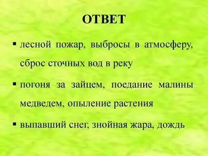 Лесной ответ