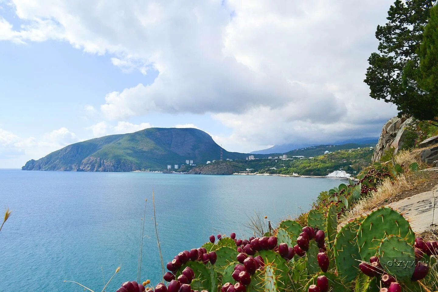 Алушта Утес мыс Плака. Партенит мыс Плака. Утес Партенит Крым мыс Плака. Мыс Плака Алушта.