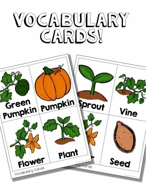 Vocabulary cards. Pumpkin Life Cycle Craft. Pumpkin Core. Life Cycle of a Pumpkin Coloring Pages.