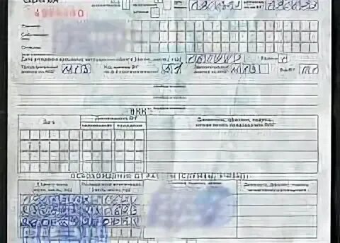 1 базовая в беларуси 2024