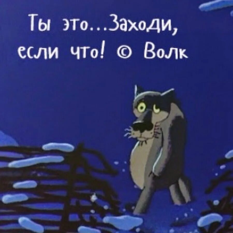 Хочешь заходи. Волк ты заходи если что. ты заходи если что отрывок. если что заходи мультик. жил-был пёс.