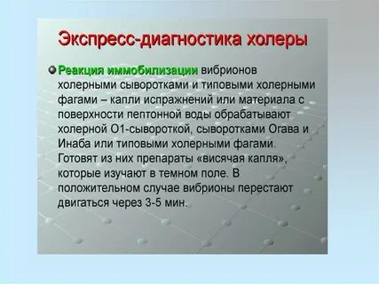 Холера лабораторная