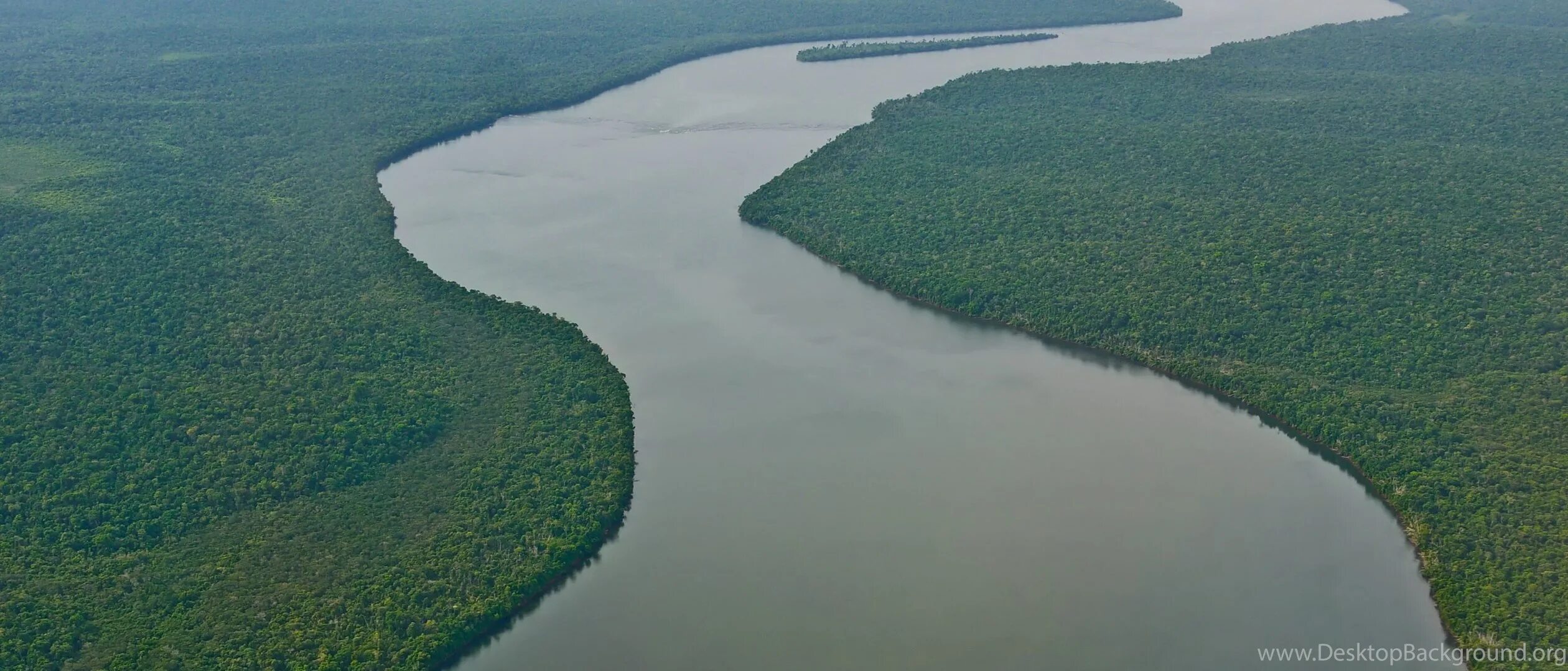 Бразилия Амазонская низменность. Река Амазонка в Бразилии. Амазонка самая длинная река в мире. Устье реки Амазонка. Озера бразилии 7 класс