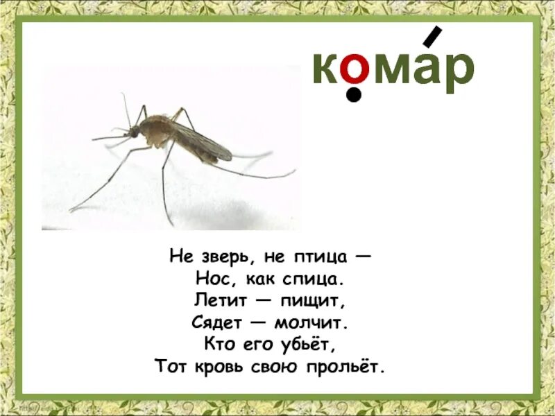 Смысл пословицы комар носа. Загадка про комара. Загадка про комара для детей. Стих про комара для детей. Загадки про комаров для детей.