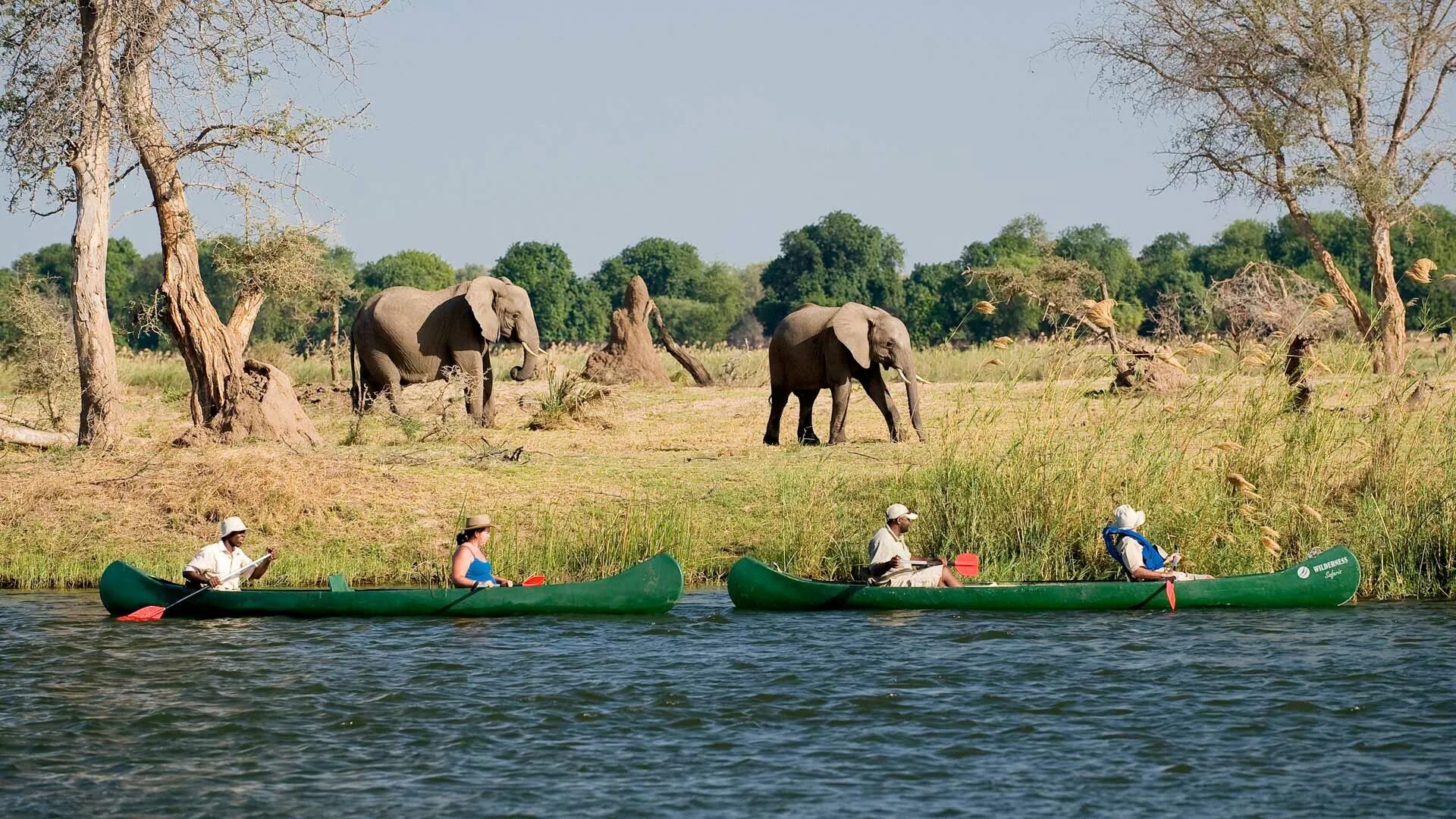 Национальный парк Мана-Пулс, Зимбабве. Зимбабве сафари. Сафари парк Зимбабве. Национальный парк Замбези. See africa