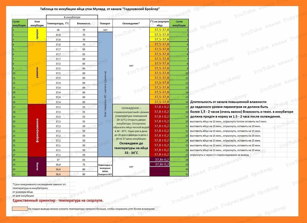 Инкубация мулардов таблица. Таблица инкубации уток мулардов. Тблицаинкубации бройлеров. Таблица Byre,fwbbдля бройлеров. Инкубатор блиц 72 таблица инкубации