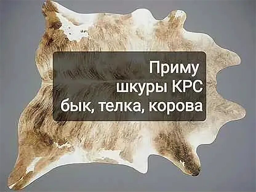 Приму шкуру крс. Прием шкур крс. пункт приема шкур крс.