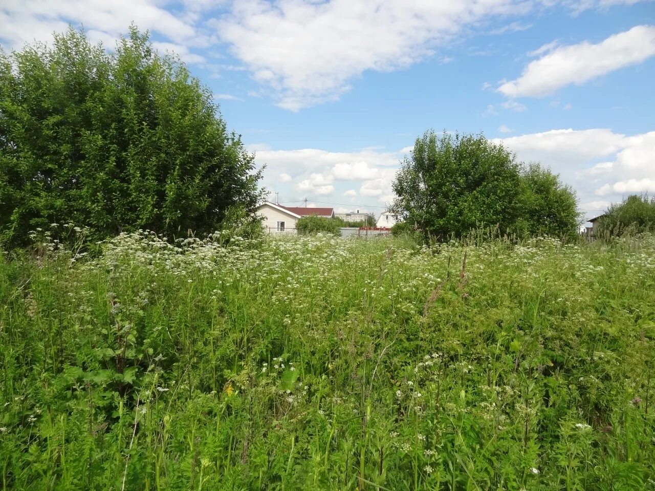 Жертв революции. Д. Участки в гатчинском районе ижс. Учхоз гатчинский район. Вырица виладж ленинградская область.