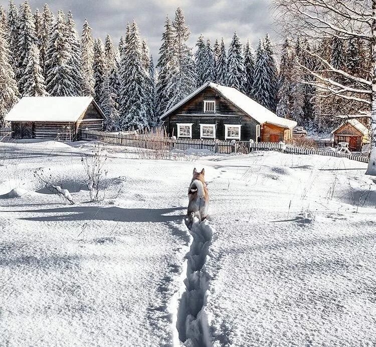 Деревня зима люди. Жизнь в деревне. Зима в деревне. Зима в деревне. Удмуртская деревня зимой.