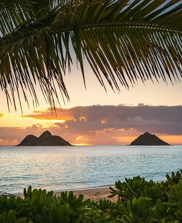 Which Hawaiian Island Is Right for You? Condé Nast Traveler
