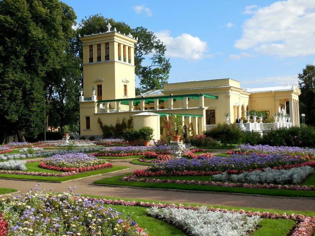 Царицын павильон в петергофе. Гмз петергоф царицын павильон. Царицын павильон. Штакеншнейдер царицын павильон в петергофе. Ольгин павильон в петергофе.