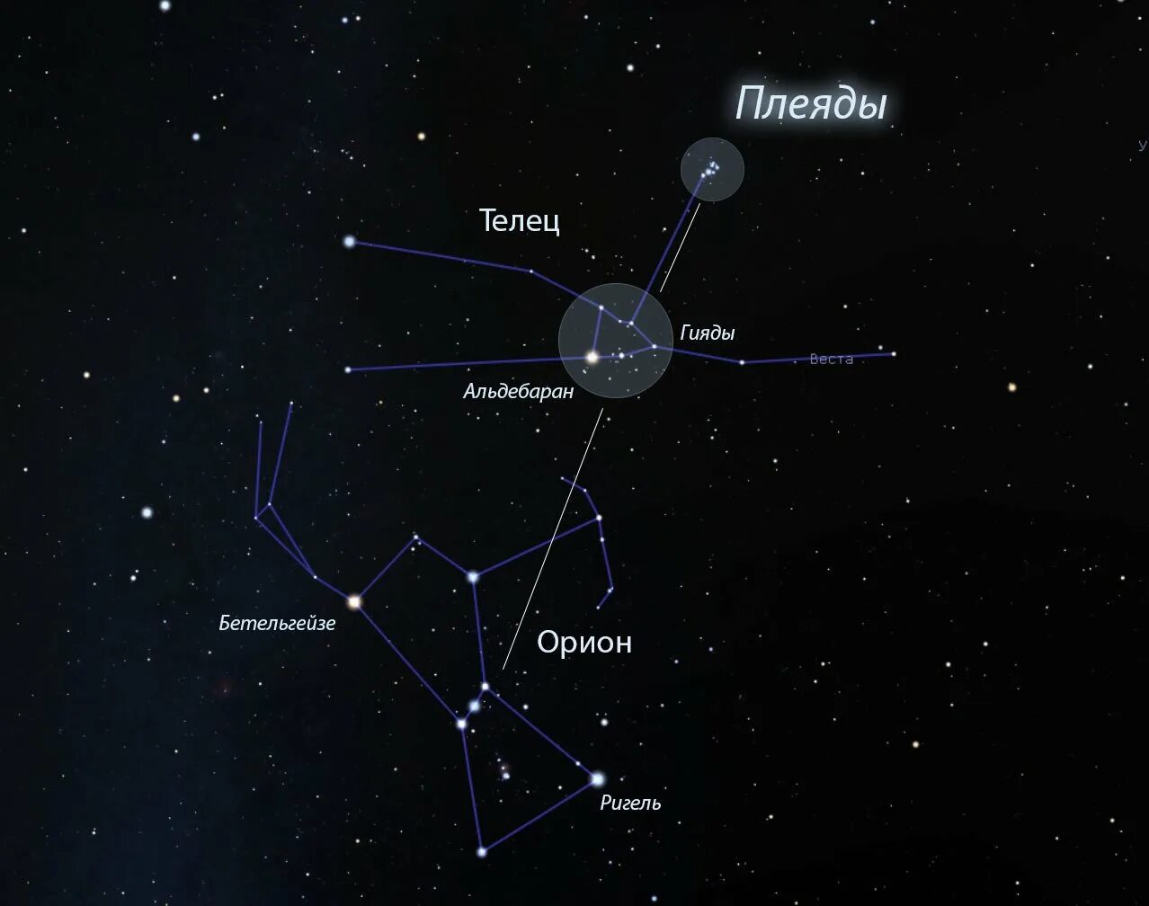 Созвездие альдебаран находится в созвездии. Созвездие Ориона и Плеяды. Альциона звезда в созвездии тельца. Семь сестер созвездия Плеяд. Созвездие Плеяды схема.