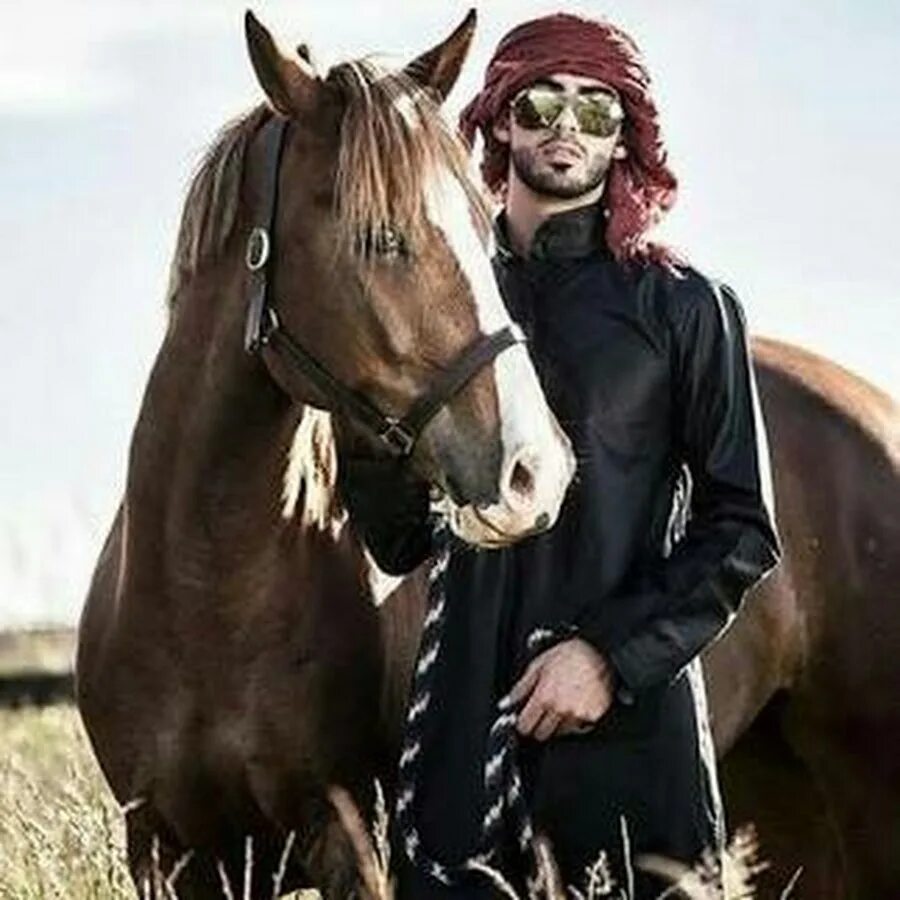 Мусульманские лошади. Мужчина на лошади. Араб лошадь. Мужская фотосессия с лошадью. Мусульманка на лошади.