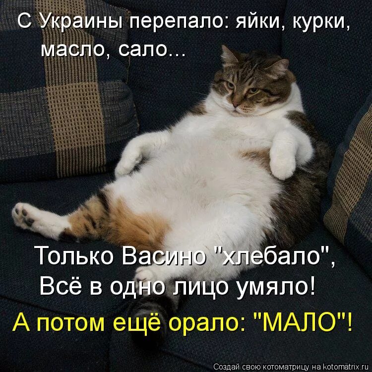 Человек которому всегда что то перепадает. Яйки. Перепадет это. Яйки кота.