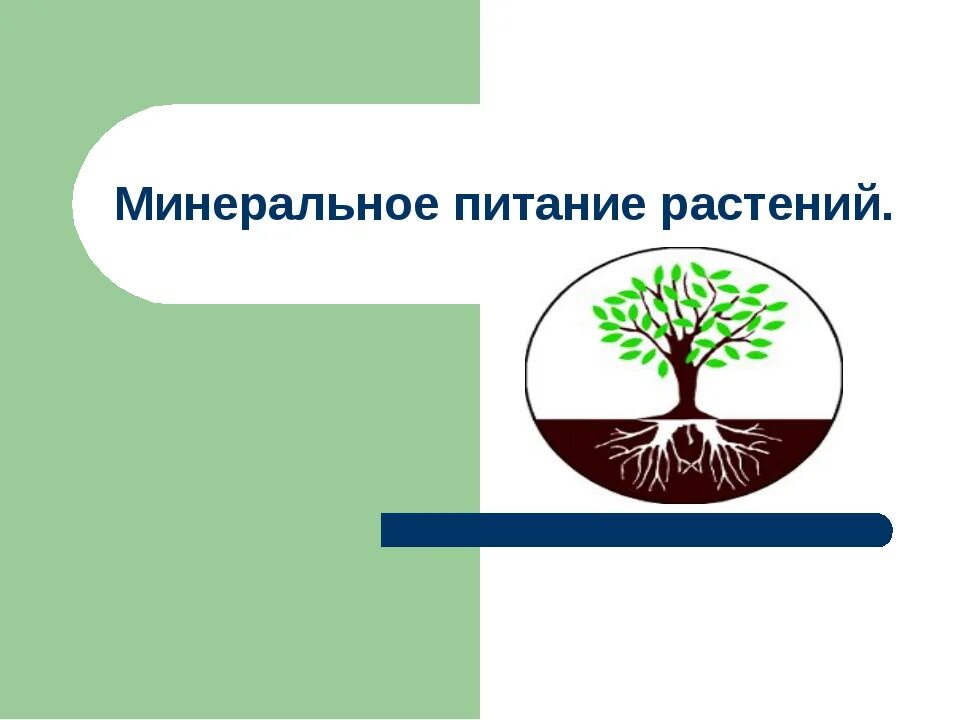 Орган растения обеспечивающий минеральное питание. Минеральное питание растений. Минеральное питание растений презентация. Минеральное питание растений схема. Корневое питание растений 6 класс.