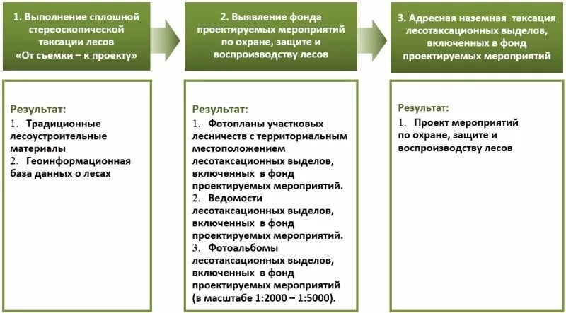 Тест по таксации часть 2