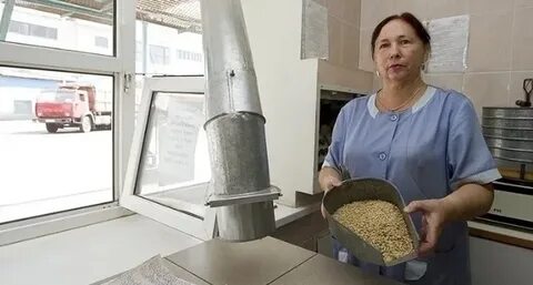 Лаборант на элеваторе