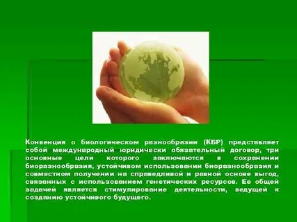 Биологические конвенции