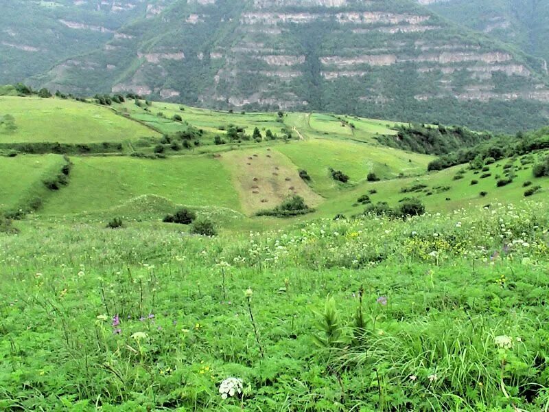 Кирка магарамкентский. Село хорель дагестан. Село хорель дагестан. Мугерган магарамкентский район. Кирка магарамкентский.