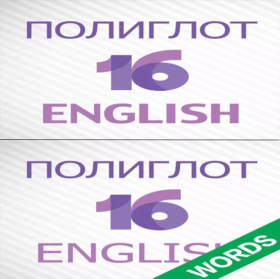 Полиглот брянск. Полиглот Сочи. Поливанов полиглот. Полиглот групп Уфа. Толстой полиглот.