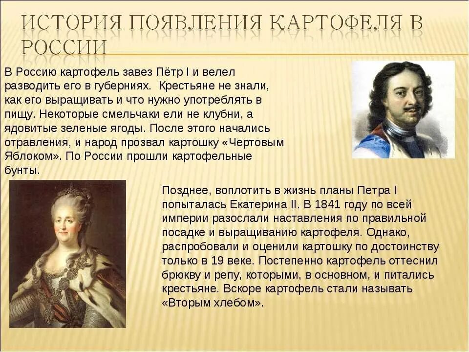 История картофеля. История картофеля в России. История возникновения картошки.