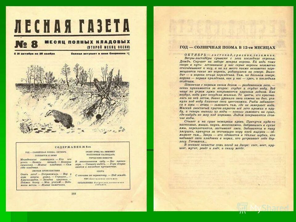 Лесная газета 4 Бианки. Газета Лесные новости. Бианки в. в. "Лесная газета". Рассказ из Лесной газеты. Месяца лесной газеты