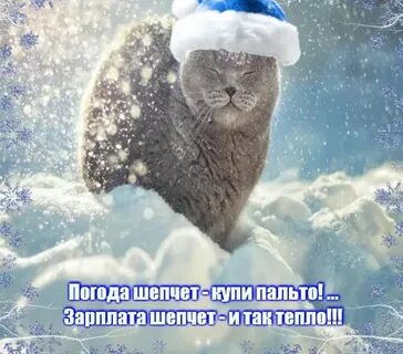 Ну и погодка