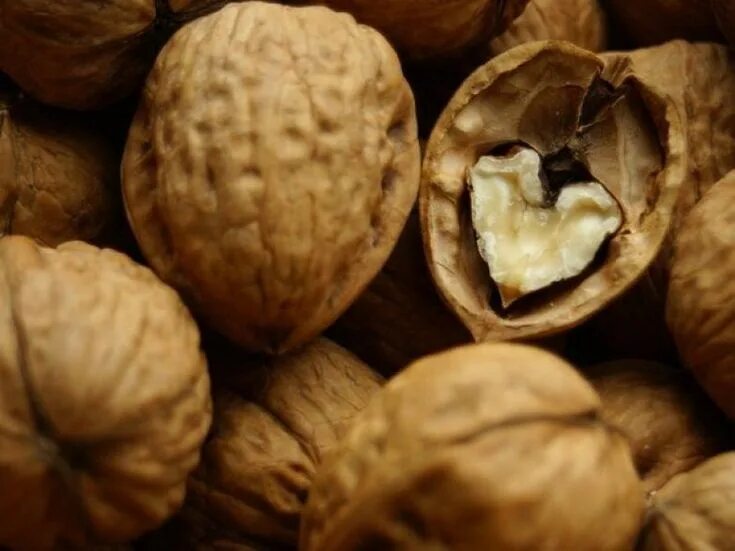 Пустой грецкий орех. Пустой орех. Мебель белый внутри грецкий орех. Грецкий орех в скорлупе. Пустой орех.