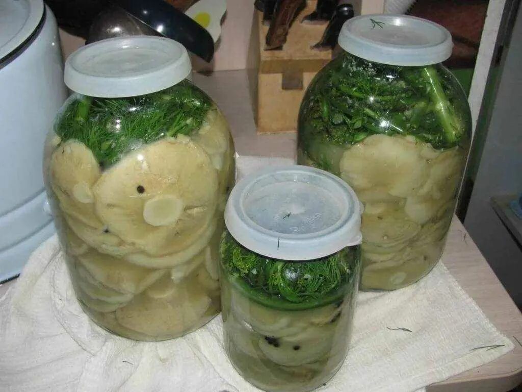 На зиму горячим способом. Волнушки грузди соленые. Грибы грузди соленые. На зиму горячим способом. Рыжики маринованные цена.