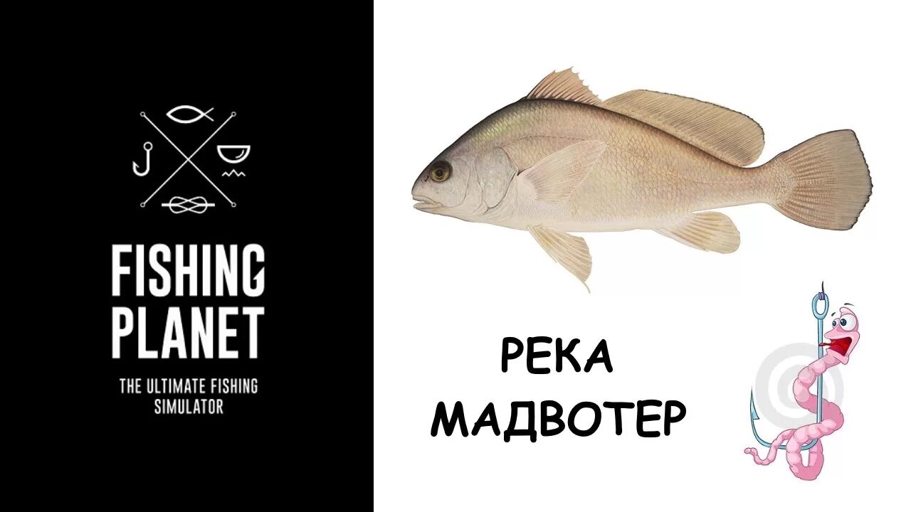 Fishing planet мадвотер. Река Мадвотер Fishing Planet. Пресноводный горбыль Fishing Planet Мадвотер. Горбыль поймать в Мадвотер. Fishing Planet гайд.